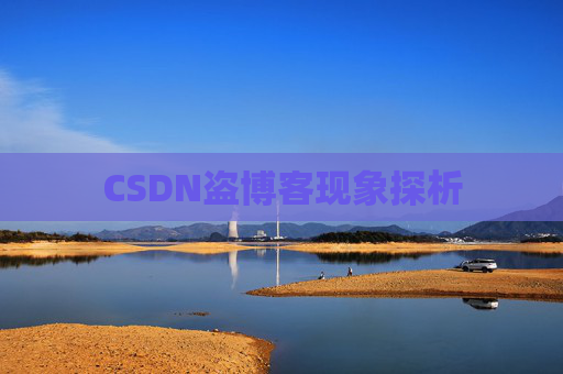 CSDN盗博客现象探析 CSDN盗博客现象探析